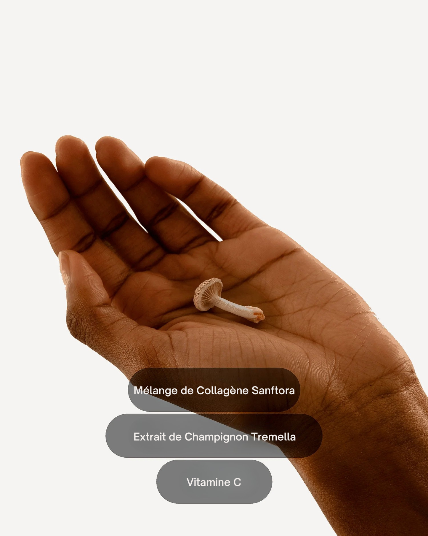 Patchs de Collagène